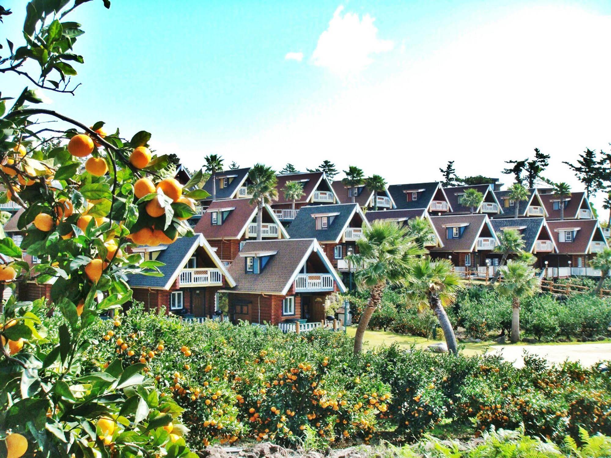 Jungmun Log Pension & Resort Σεογκουίπο Εξωτερικό φωτογραφία